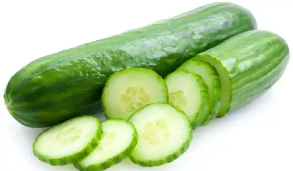 7 Amazing Things You Probably Dont Know About 